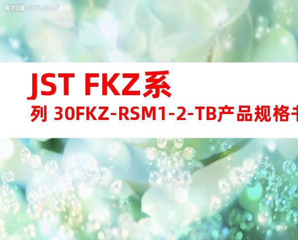 JST FKZ系列 30FKZ-RSM1-2-TB产品规格书